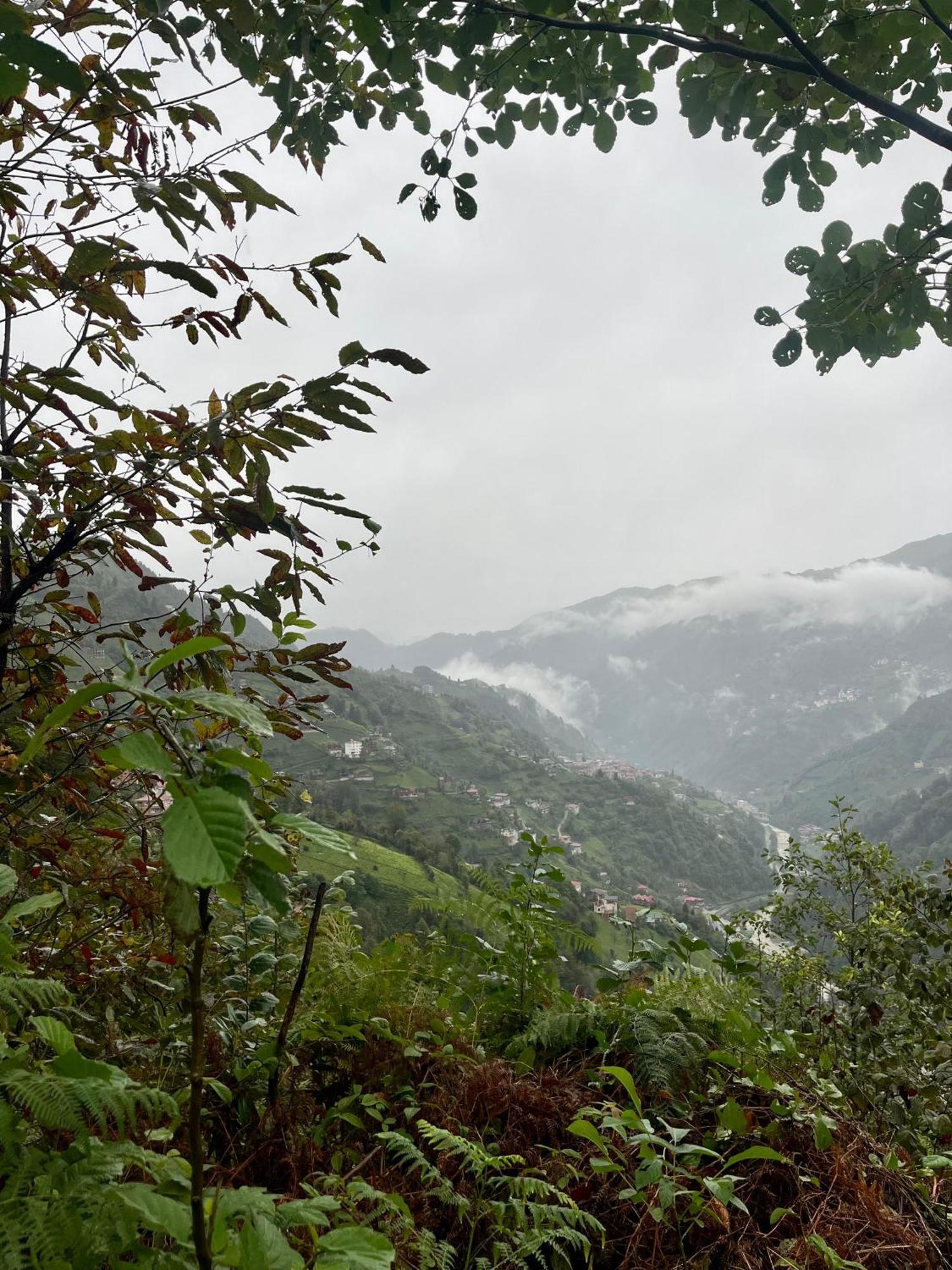 Relax Dag Evleri Rezistans Ayder Dikkaya  Dış mekan fotoğraf