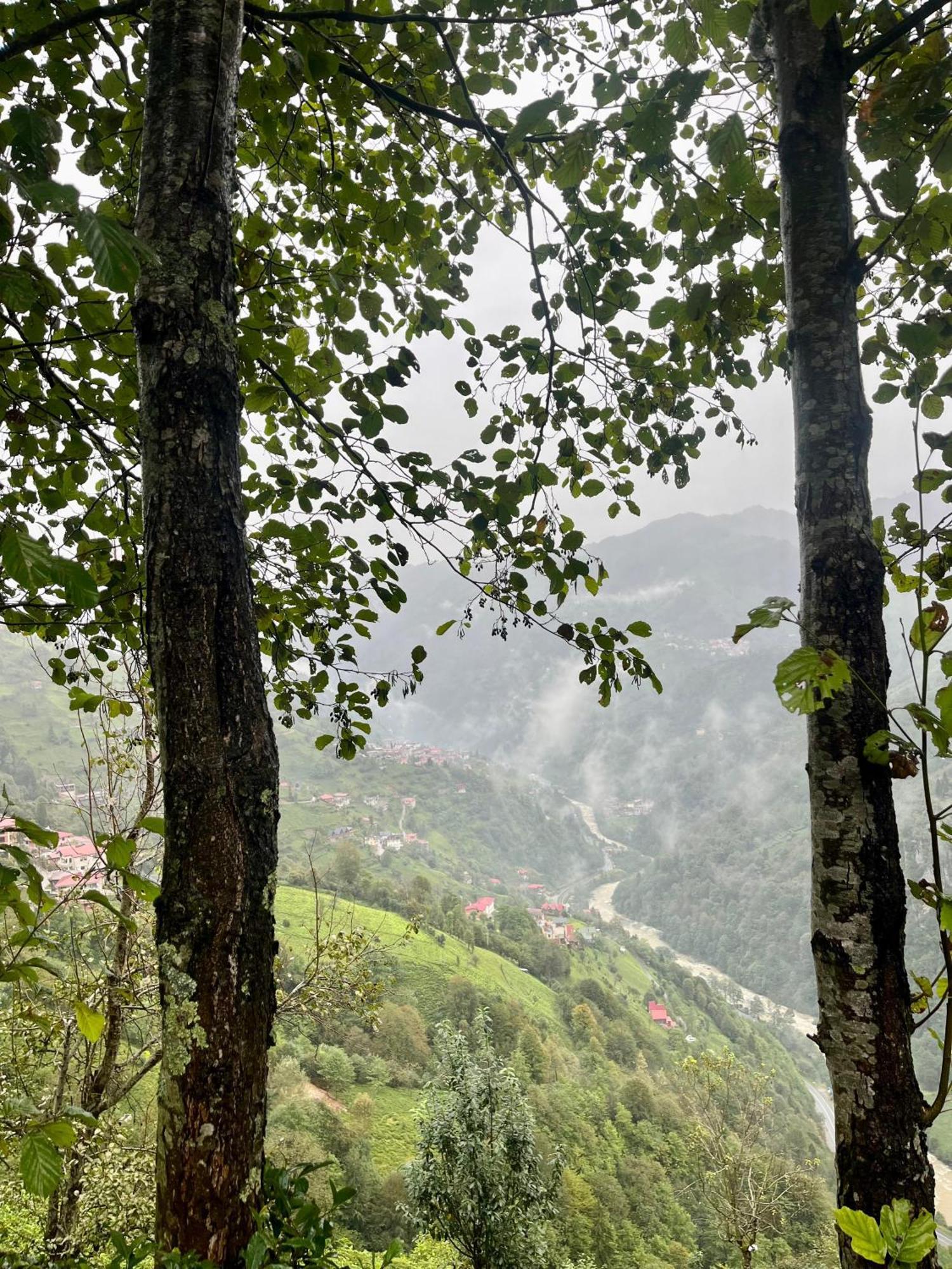 Relax Dag Evleri Rezistans Ayder Dikkaya  Dış mekan fotoğraf