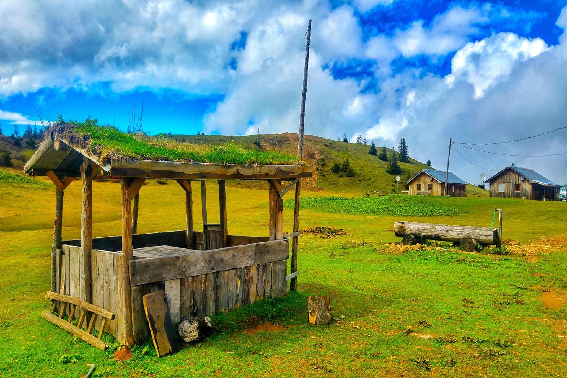 Relax Dag Evleri Rezistans Ayder Dikkaya  Dış mekan fotoğraf